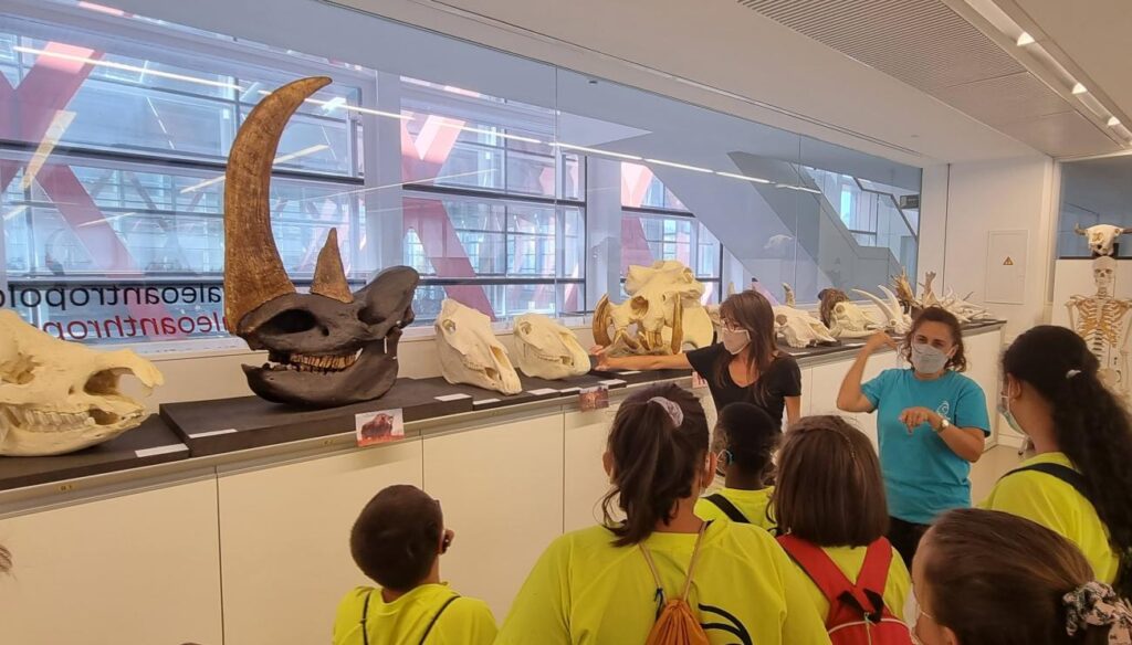 Taller con huesos de animales, niños del campamentos, guía e intérprete de lengua de signos
