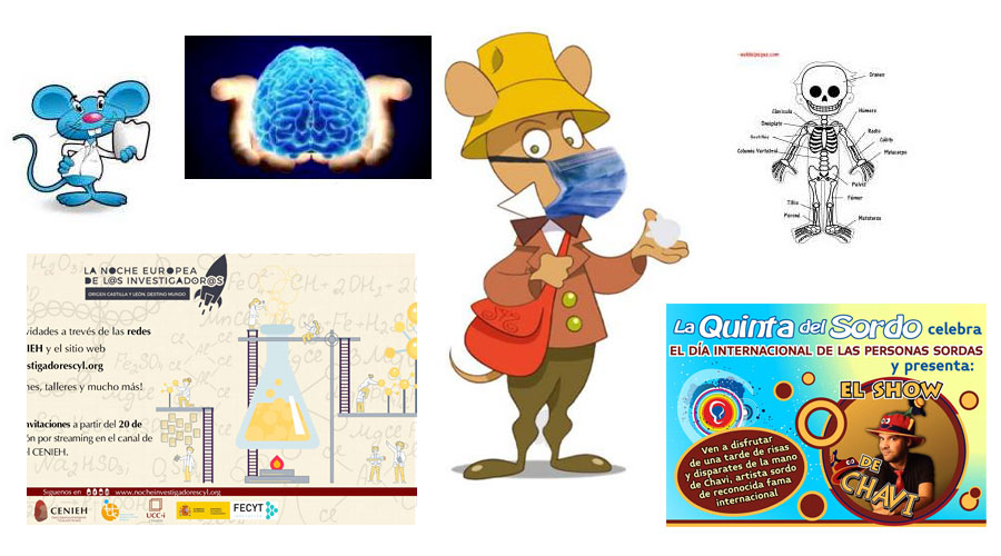 Día Internacional de las Personas Sordas y Noche Europea de los Investigadores