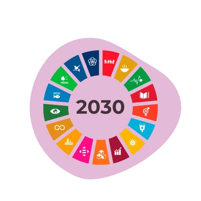 icono agenda 2030