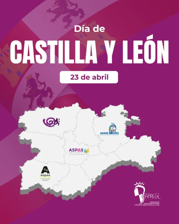 Día de castilla y león