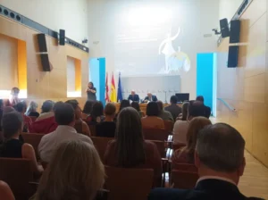 manual accesibilidad 360º