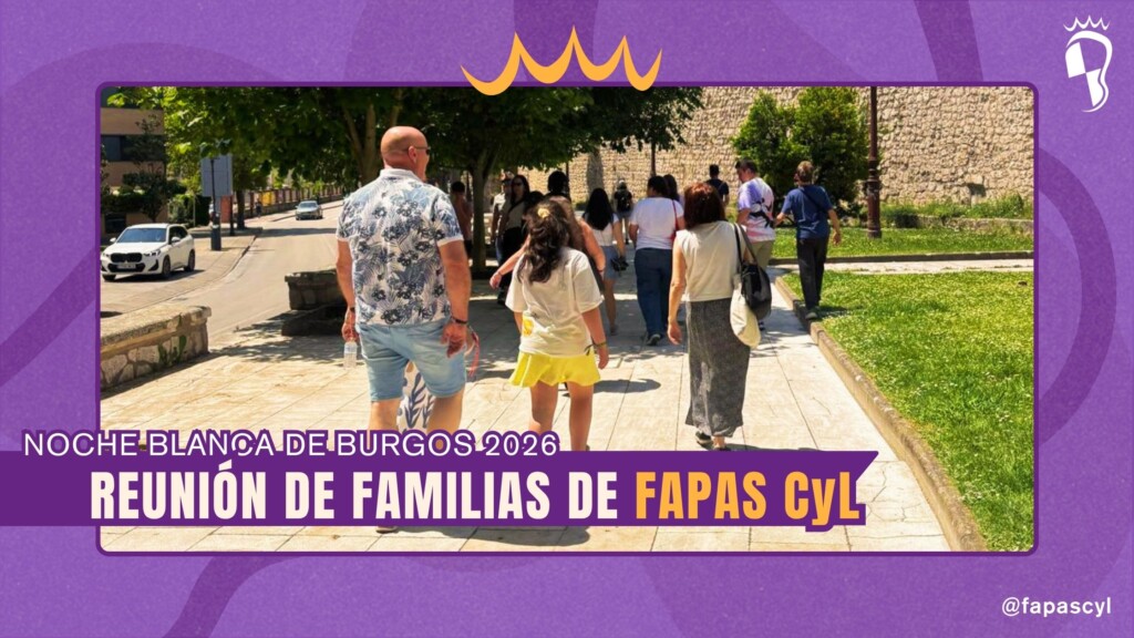 Grupo de familias de la comitiva de FAPAS CyL caminando de espaldas por una acera soleada en Burgos durante la jornada festiva de la Noche Blanca 2026.